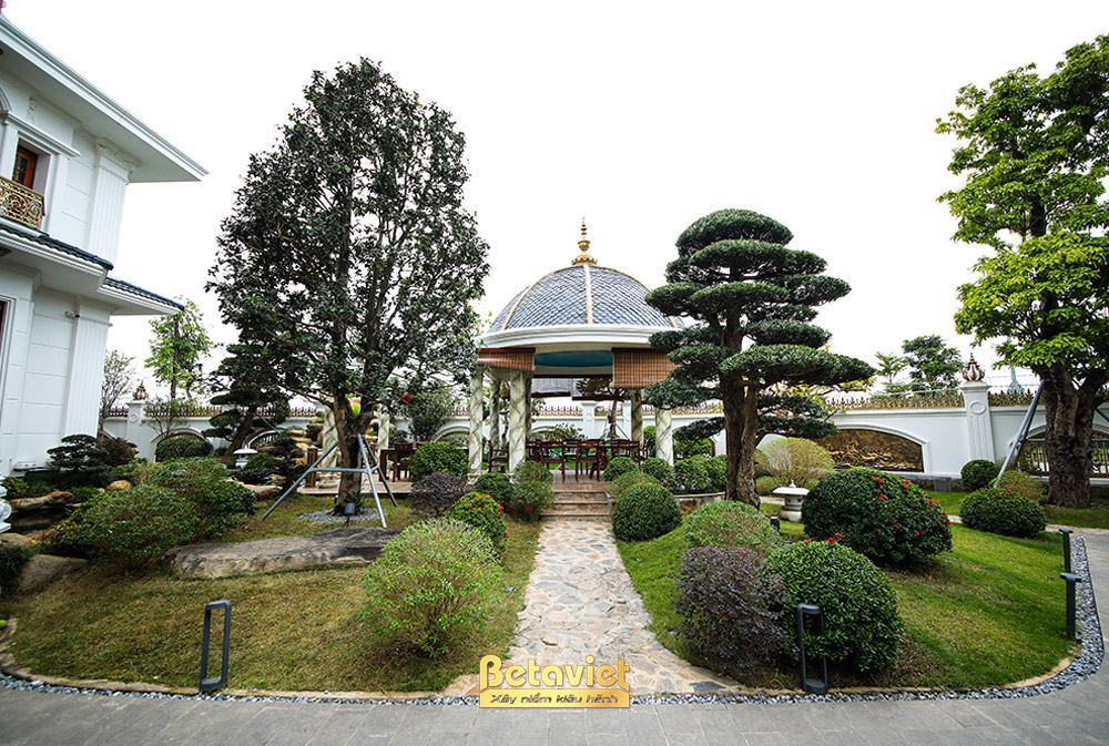 Sân vườn Nhật biệt thự tân cổ điển 2 tầng HT19106