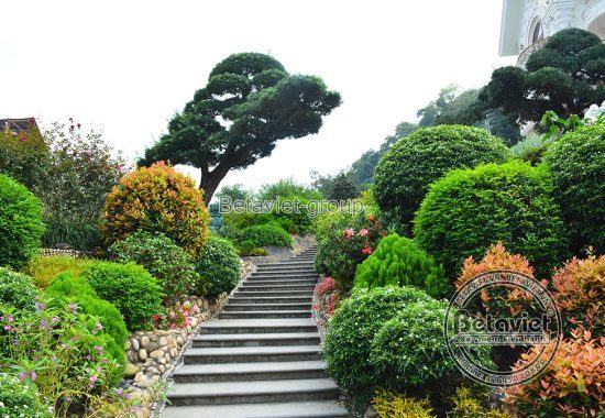 Ngắm trọn vẹn biệt thự sân vườn gần 6000m2 - Lào Cai