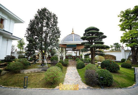 Sân vườn Nhật biệt thự tân cổ điển 2 tầng HT19106